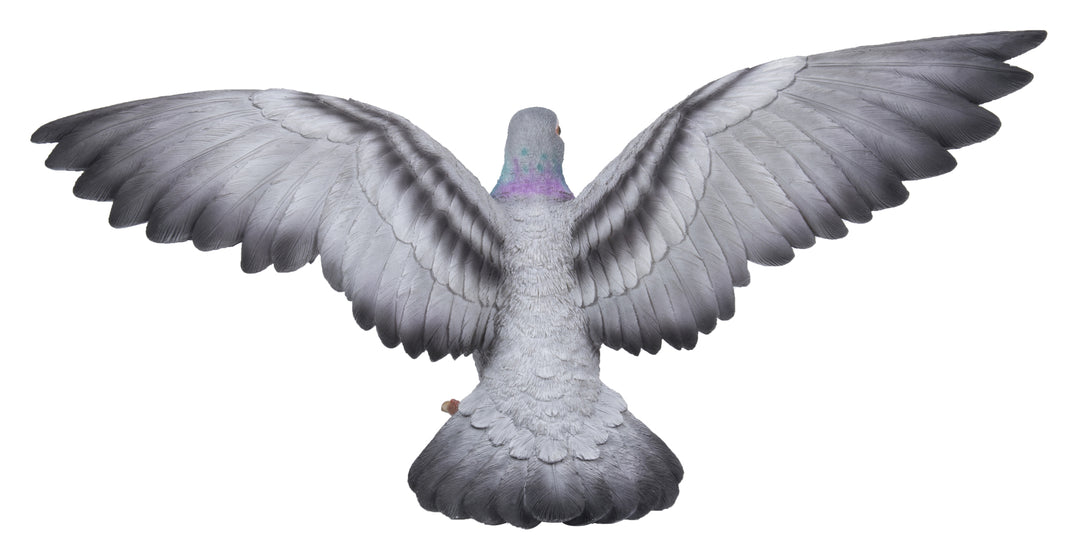 Pigeon With Spread Wings Statue HI-LINE GIFT LTD.