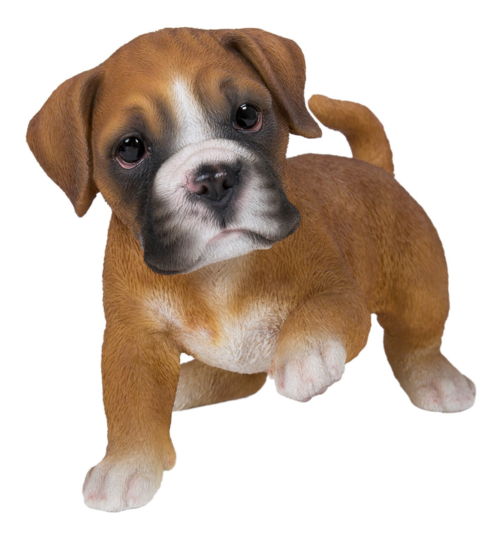 Boxer Puppy Playing Statue HI-LINE GIFT LTD.