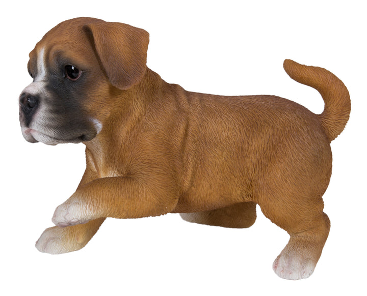 Boxer Puppy Playing Statue HI-LINE GIFT LTD.