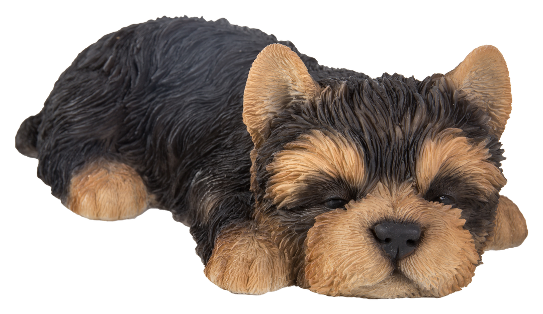 Yorkshire Terrier Puppy Sleeping Hi-Line Gift Ltd.