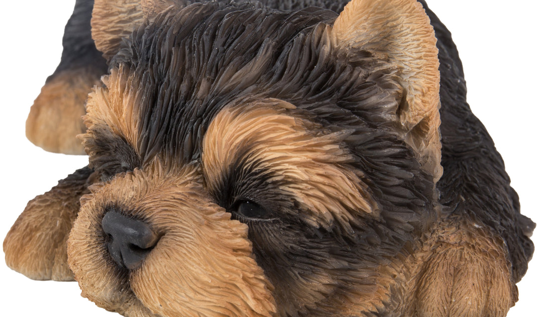 Yorkshire Terrier Puppy Sleeping Hi-Line Gift Ltd.