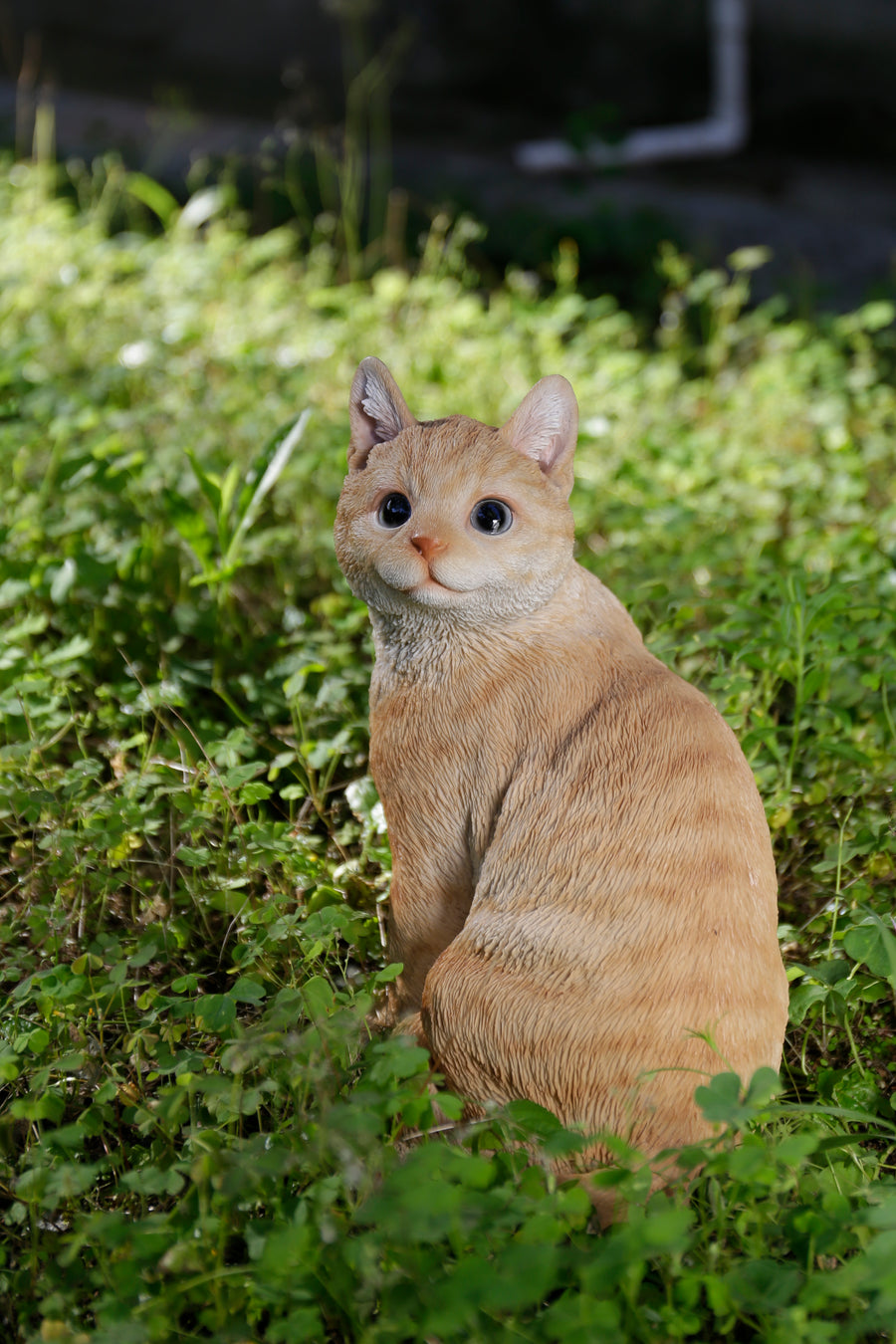Ginger Cat Looking Back Garden Statue HI-LINE GIFT LTD.