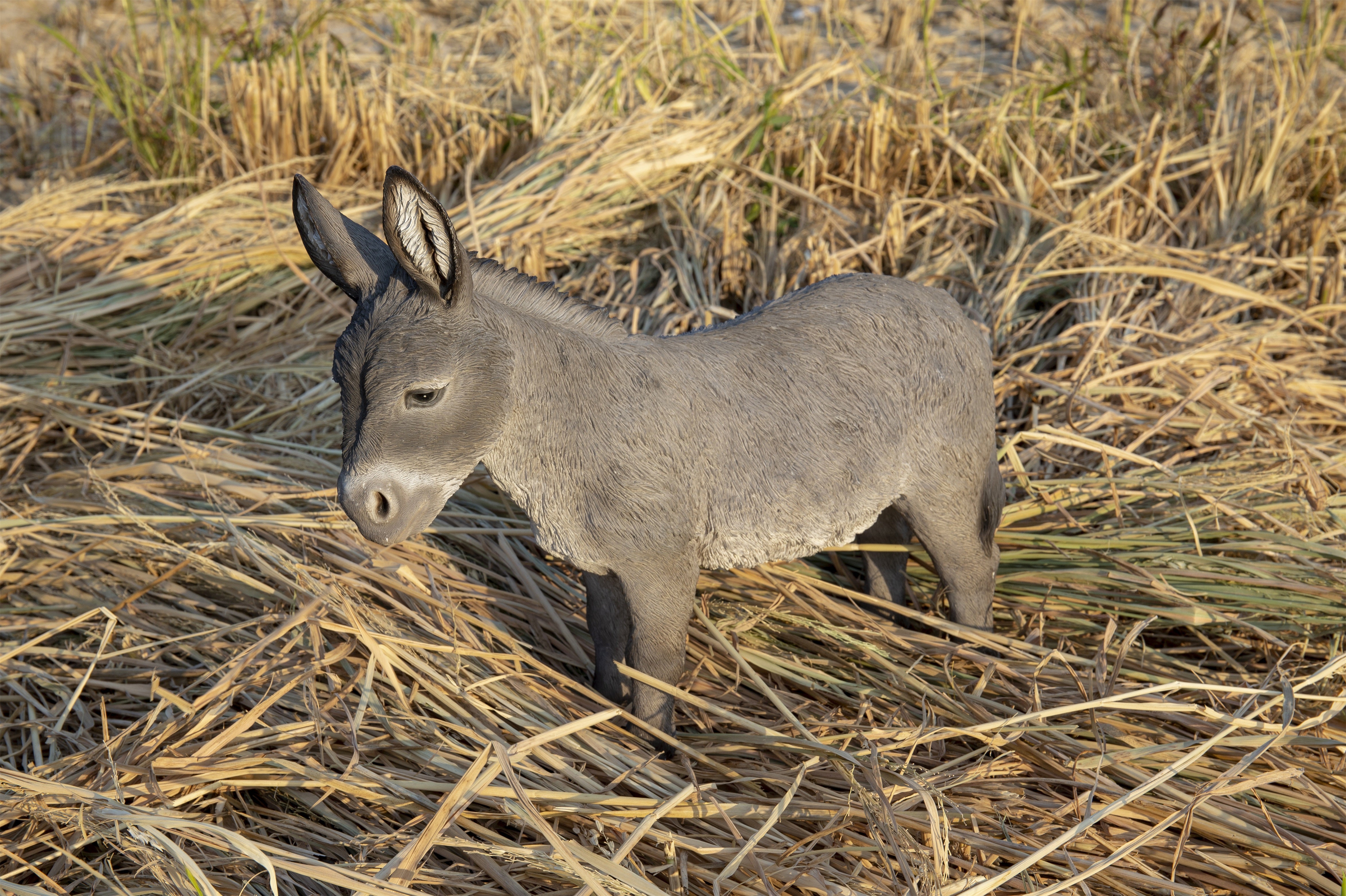 Donkey Standing Statue - Home Decor - Hi-Line Gift Ltd.