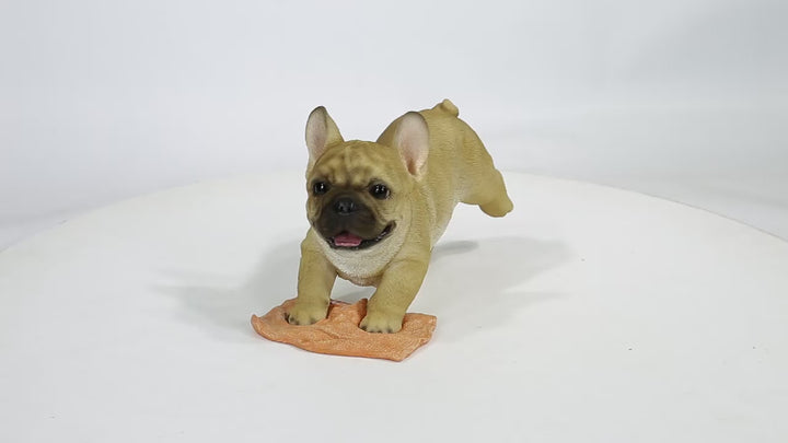 French Bulldog Mopping The Floor