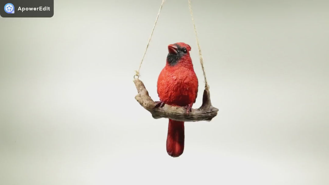 Hanging Cardinal on Branch Statue