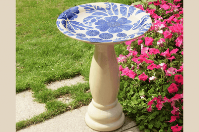 Winter Bird Feeding: Why Your Bird Bath Is Essential During Cold Months