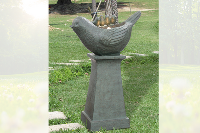 Can You Put Vinegar in an Outdoor Fountain? Pros and Cons Explained