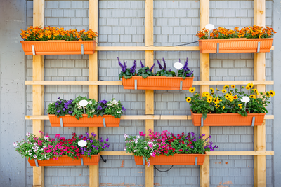 Best Outdoor Plants with Shallow Roots for Small Gardens