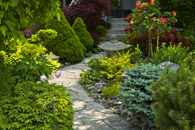 Tall Landscaping Plants to Elevate Your Outdoor Space