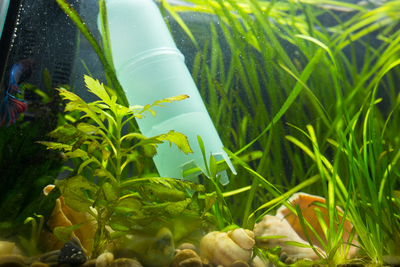 How to Clean an Indoor Water Fountain Pump: Simple Steps for Maintenance