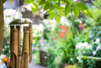 Garden Decor by Season: How to Update Your Outdoor Space All Year Round