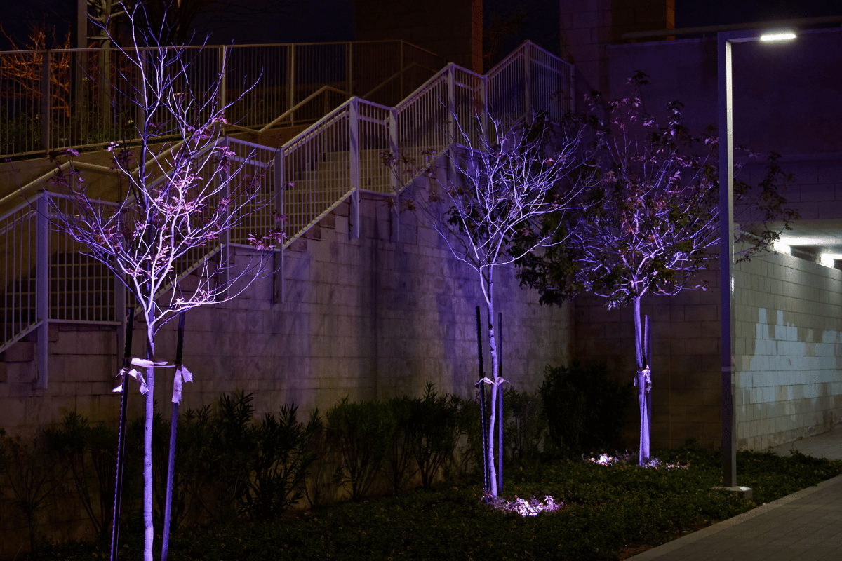 Porch & Patio Glow-Up: Decorative LED Trees for Front-Step Charm – Hi ...
