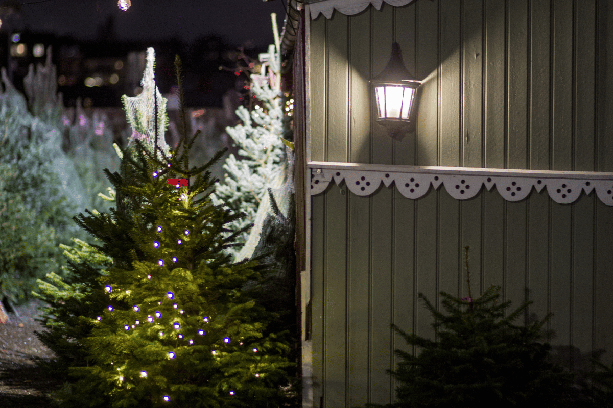 Winter Nights, Warm Glow: Layering Lanterns and LED Decor for Soft Amb ...