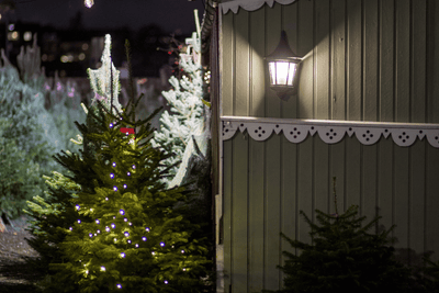 Winter Nights, Warm Glow: Layering Lanterns and LED Decor for Soft Ambience