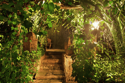 Evening Glow: Styling Summer Parties with LED Trees and Hanging Lanterns