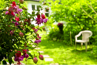 Natural vs. Modern: Finding Your Garden Decor Style
