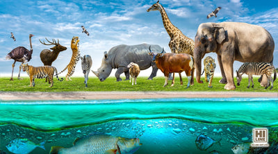 How Wildlife Figurines Inspire Conservation Awareness