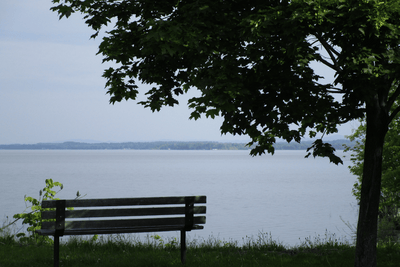 Strategic Bench Placement: Where to Put a Bench in Your Backyard for Shade and Views