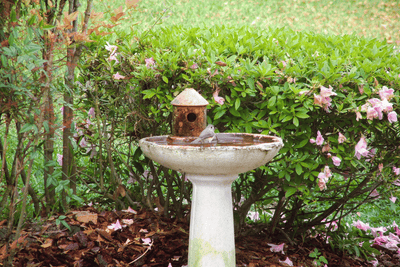 Gift Ideas for Garden Lovers: Benches, Bird Baths, and Outdoor Accents They’ll Use Year-Round