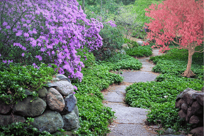 How to Decorate a Garden Without Plants for a Unique Look