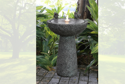 Can You Put Bleach in an Outdoor Fountain? How to Disinfect Without Damage