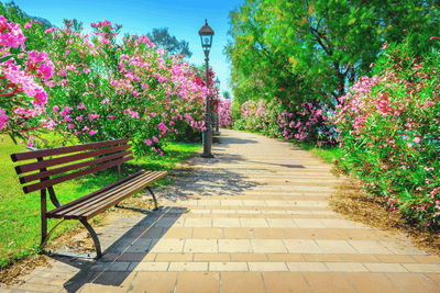 Combining Lanterns and Benches for a Cozy Garden Retreat