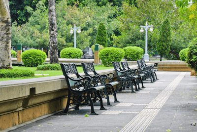 Creating Garden Focal Points: Using Metal Benches to Anchor Your Landscape