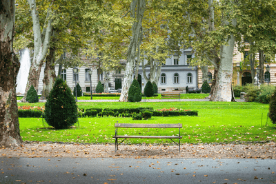 Metal vs. Wooden Garden Benches: What Works Best for Outdoor Weather?