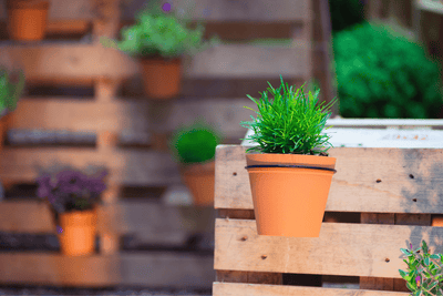 Upcycling Inspiration: How to Decorate a Garden with Waste Material