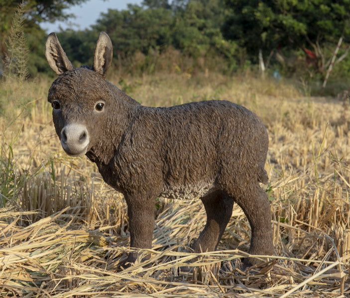 Animal Statues and Sculptures - Home Decor Products Animal Statues and Sculptures - Home Decor Products