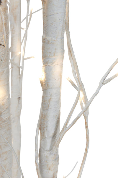 Large Birch Tree 240 Leds HI-LINE GIFT LTD.