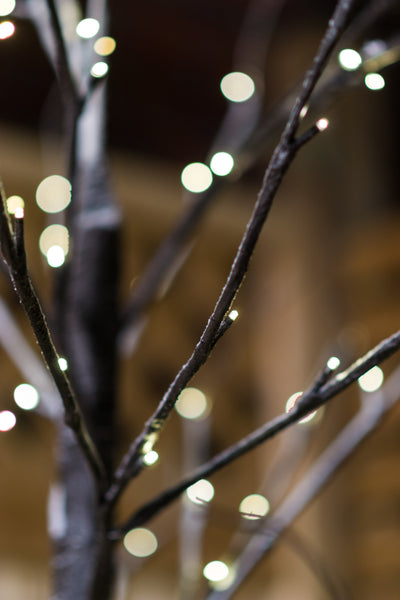 LED Tree With 8 Functions  and 120 Warm White LEDs HI-LINE GIFT LTD.
