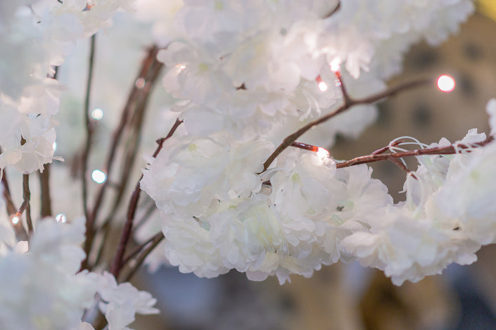 Small Cherry Blossom Tree With  60 Warm White Led HI-LINE GIFT LTD.