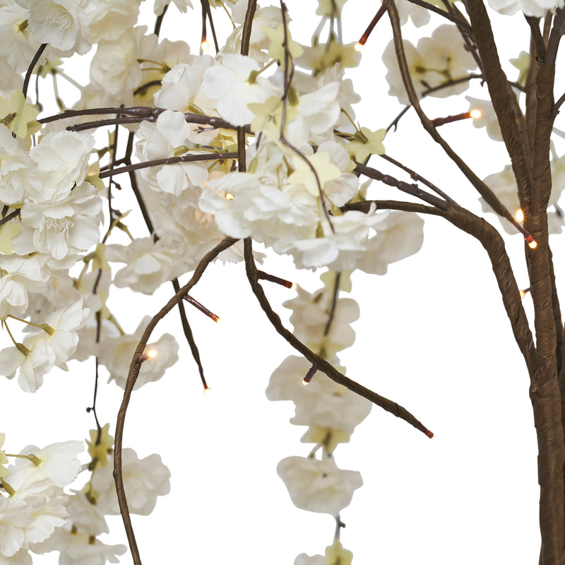 White Cherry Blossom Tree With Warm White LEDs HI-LINE GIFT LTD.