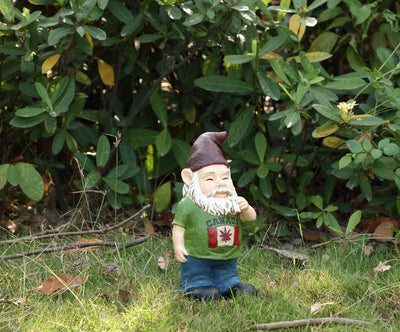 Hi-Line Exclusive - Canadian Gnome Smoking HI-LINE GIFT LTD.