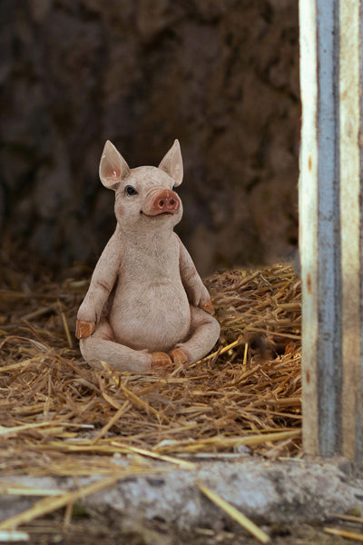 75617-D - Pig In Meditation Hi-Line Gift Ltd.