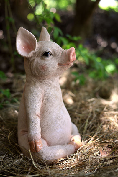 75617-D - Pig In Meditation Hi-Line Gift Ltd.