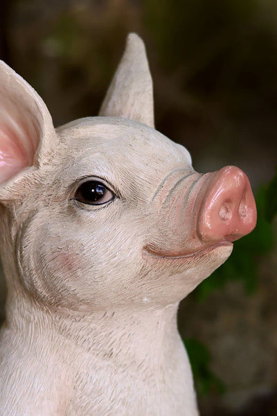 75617-D - Pig In Meditation Hi-Line Gift Ltd.