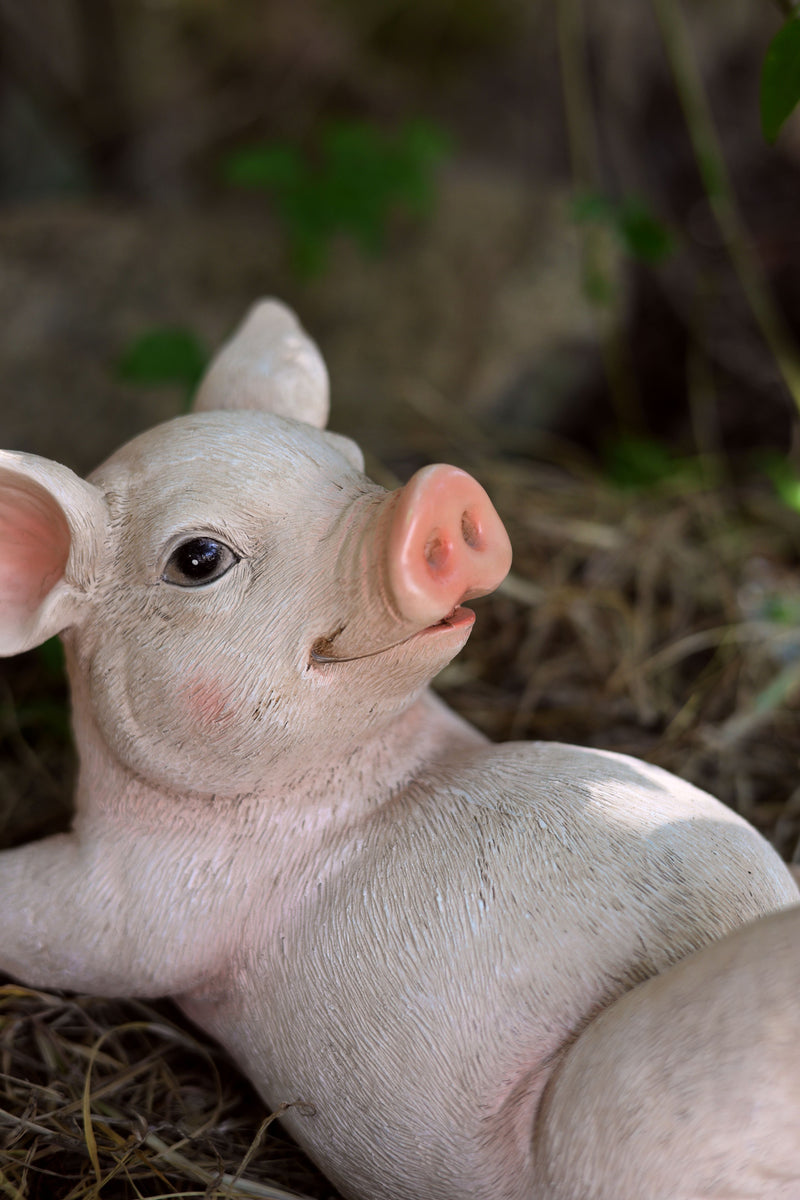 75617-E - Yoga Pig Polyresin Statue Hi-Line Gift Ltd.