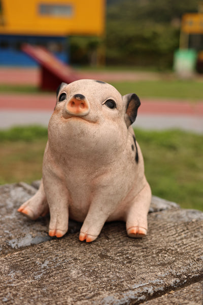 75617-F - Sitting Pig Looking Up Hi-Line Gift Ltd.