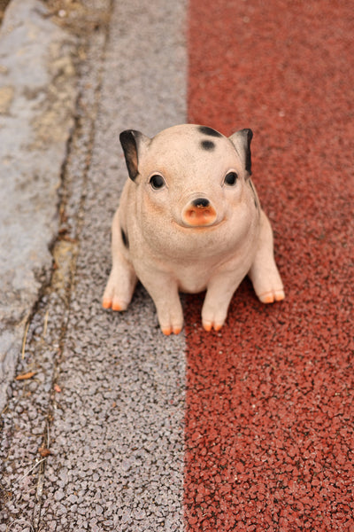 75617-F - Sitting Pig Looking Up Hi-Line Gift Ltd.