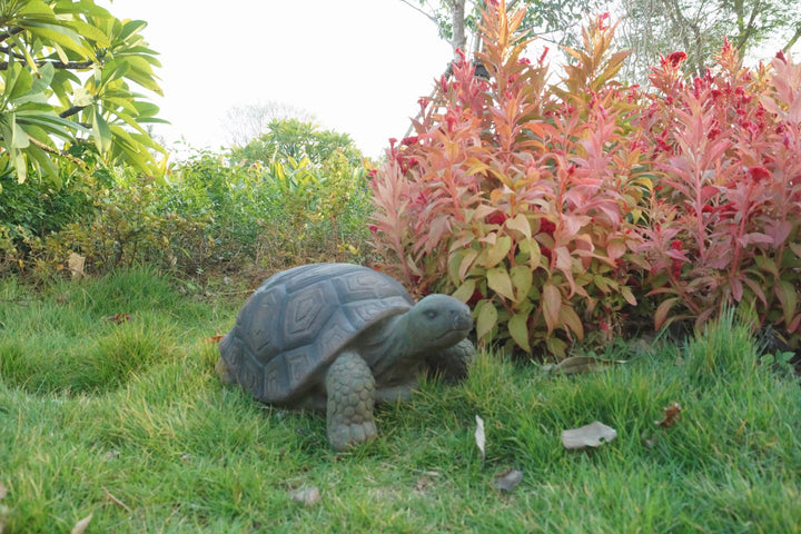 Turtle Statue - 21 Inch Long HI-LINE GIFT LTD.