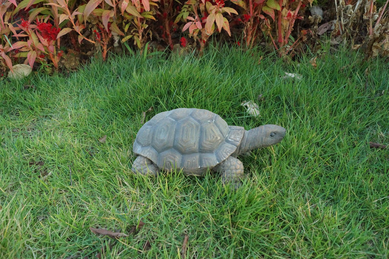 Turtle  Statue HI-LINE GIFT LTD.