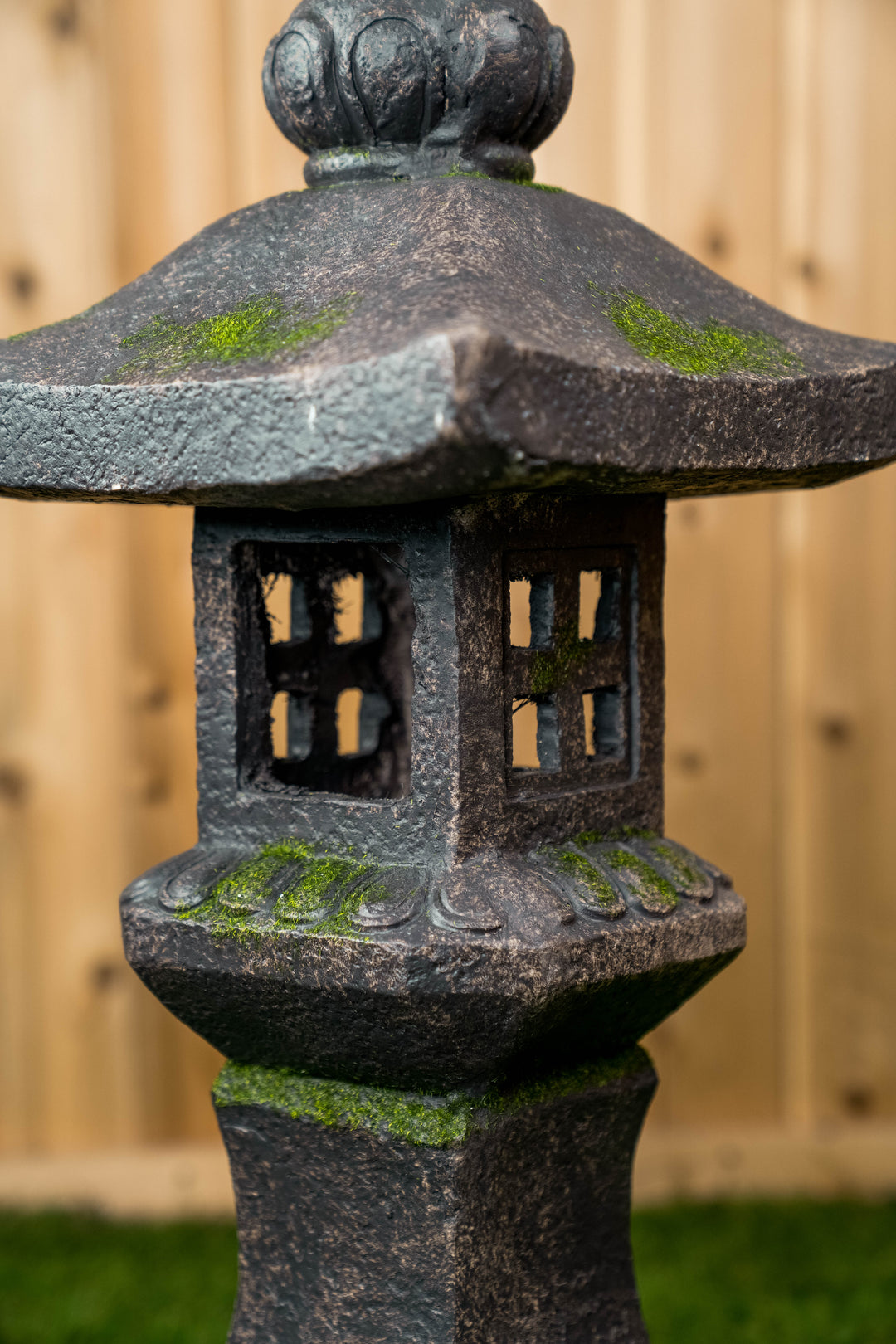蝶 living in Japan 蝶 Living in Japan（: 絶版石川茂樹 著⁄宮澤正明 撮影蝶LIVING