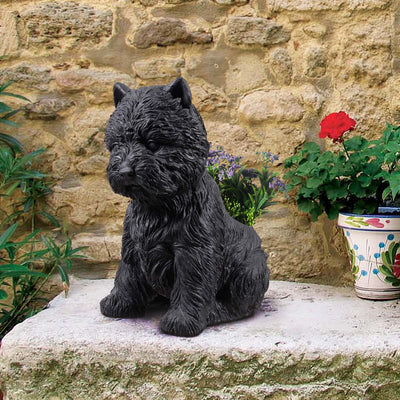 77188-BK - White Terrier Flower Planter Black Plant Pot