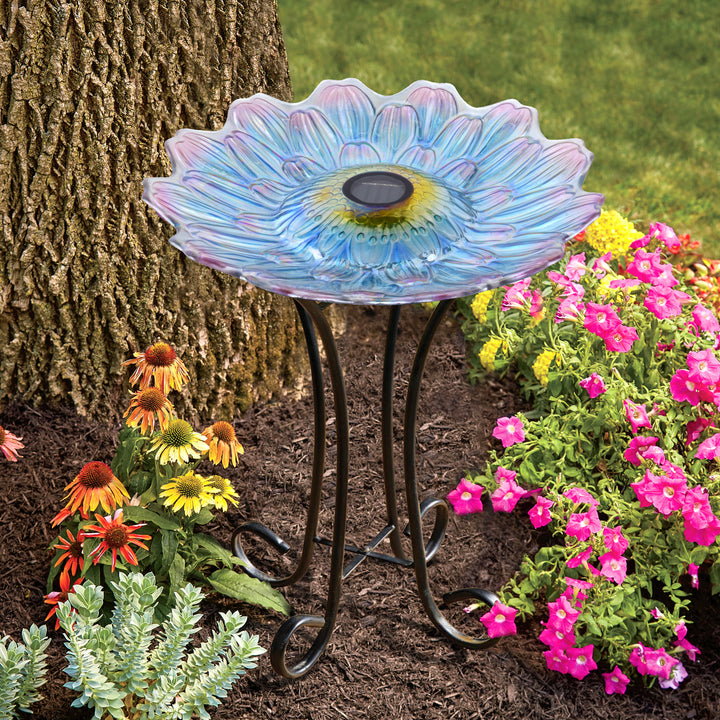 Glass bird baths discount