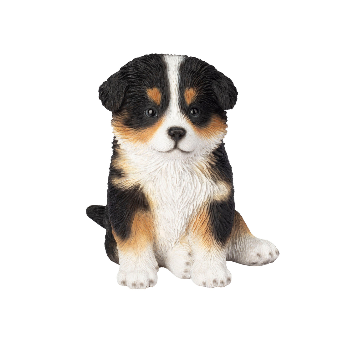 SOREAL Australian Shepherd Puppy (87624-08) – Hi-Line Gift Ltd.