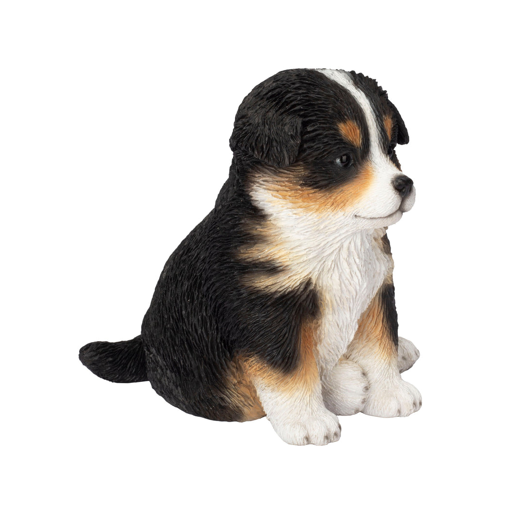 SOREAL Australian Shepherd Puppy (87624-08) – Hi-Line Gift Ltd.