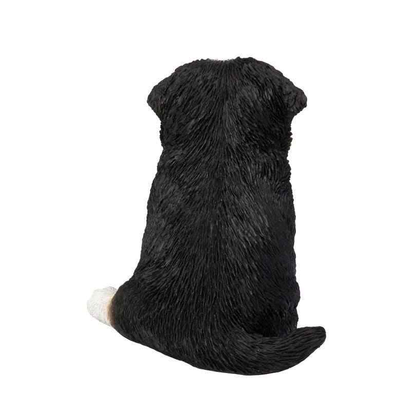SOREAL Australian Shepherd Puppy (87624-08) – Hi-Line Gift Ltd.