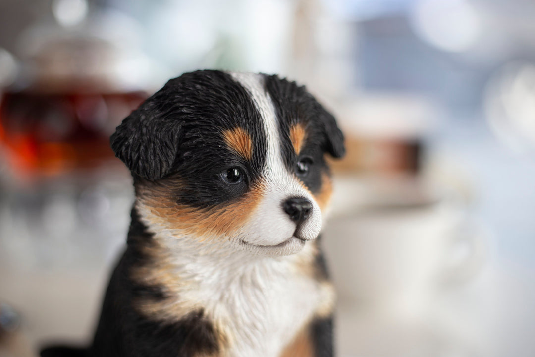 ・Children with puppy・高さ１５cm・ Copen・ SOREAL Australian Shepherd Puppy (87624-08) – Hi-Line Gift Ltd.